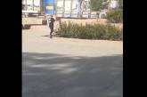 Эпатажная горожанка, облившая депутата водой, «ободрала» куст розы у здания Николаевской ОГА