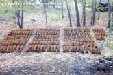 В лесу на Николаевщине нашли почти 200 минометных мин: поиски продолжаются