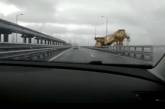 Как плавучий кран врезался в Крымский мост. Появилось новое видео