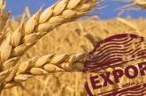Впервые за 5 лет произошло падение экспорта зерна в Украине, - агроаналитики