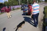 В Винницкой области привязанную к такси собаку протащили через весь город