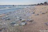Под Одессой в бархатный сезон тысячи медуз выбросились на берег. Видео, Фото