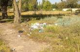 В Николаеве лицеисты после занятия в Матвеевском лесу оставили после себя кучи мусора