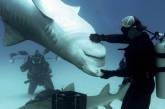 В Австралии убили четырех акул за нападение на двоих туристов