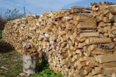 Под видом дров в Европу вывозят украинскую древесину для производства мебели