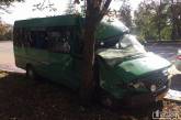 В Кривом Роге маршрутка протаранила дерево, 8 пассажиров попали в больницу