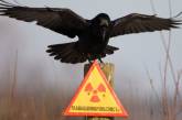 НАТО поучаствует в ликвидации радиоактивного могильника в Украине