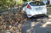 В Николаеве сухая ветка дерева упала на дорогу и зацепила автомобиль