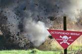 В результате взрыва мины в Горловке погибли трое детей
