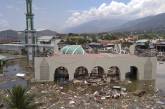 Число жертв землетрясения и цунами в Индонезии возросло до 1,2 тысячи