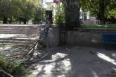 В Николаеве у ДК «Строителей» сухая ветка дерева упала на тротуар 