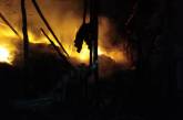 На Николаевщине из-за масштабного пожара сена едва не загорелся жилой дом