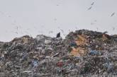 В Николаевской области накопилось по 40 тонн мусора на каждого жителя