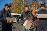 В Ичне полиция поймала трех мародеров