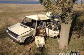 В Одесской области «копейка» врезалась в дерево - водитель погиб