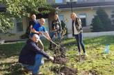 Николаевские прокуроры в честь праздников высадили аллею абрикосовых деревьев