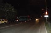 При столкновении «Волги» и «Руты» пострадали два пассажира микроавтобуса. ФОТО