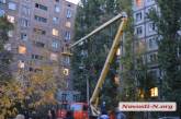 В Николаеве спасатели снимали с дерева кота, просидевшего там десять дней