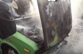 На Николаевщине спасатели потушили загоревшийся «Жигуль» 
