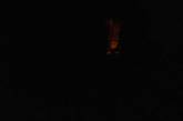 В Николаеве «Місто для людей» в многоэтажках отключает освещение в подъездах, - депутат