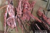 В Вознесенске «на горячем» поймали одессита, который воровал кабели электросвязи