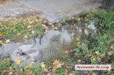 Фекальные фонтаны, вонючие реки: в  Николаеве снова прорвало канализацию 
