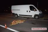 Ночью на въезде в Николаев «Фиат» сбил насмерть пешехода