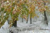 Синоптики назвали точную дату, когда в Украине выпадет первый снег