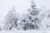 Синоптик пригрозила украинцам штормовым ветром, морозами и снегом на следующей неделе