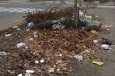 Николаевцы жалуются на горы мусора и опавших листьев на улицах