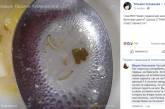 Киевские чиновники назвали фейком фото из школьной столовой с супом с червяками