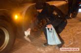 Борьба с гололедом по-николаевски: водители фур сами покупают соль в магазинах и сыплют ее под колеса
