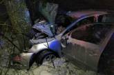 На Николаевщине «Шкода» с несовершеннолетним водителем слетела кювет — пострадали три человека