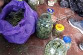 На Николаевщине приятели-наркоманы хранили дома 9 кг каннабиса и оружие 