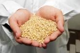 Неправильно хранили: в Украине пропало зерно на 18,8 миллионов