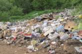 На уборку несанкционированных свалок в Корабельном районе потратят почти миллион гривен 