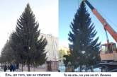 Чиновник спилил елку для главной площади города на соседней улице