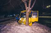 В Киеве маршрутка с пассажирами сбила пешехода и влетела в дерево. ВИДЕО
