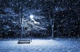 В новогоднюю ночь в Украине синоптики обещают снег