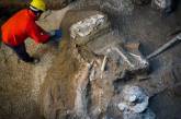 В Помпеях нашли останки генеральской лошади в сбруе, готовой к поездке