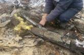 Упавший тополь оставил Николаевскую областную инфекционную больницу без газа