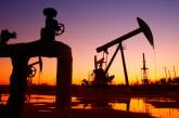 В РФ причину обвала цены нефти нашли в Вашингтоне