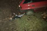 Ночью в Николаеве Opel насмерть сбил человека