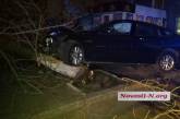 Ночью в Николаеве пьяный водитель на BMW въехал в дерево