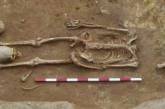 В Британии нашли загадочное кладбище полное скелетов с черепами между ног. ФОТО