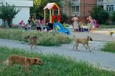В Центре Николаева собаки выжили детей с детской площадки