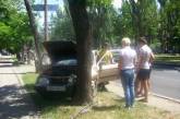 В центре Николаева «Форд» врезался в дерево. ФОТО