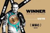 Усик - лучший боксер года по версии WBC