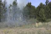 Пожар в Новопетровском урочище: горела трава и стволы деревьев ФОТО
