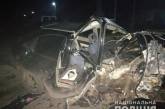На Николаевщине Opel врезался в дерево - погиб 25-летний водитель